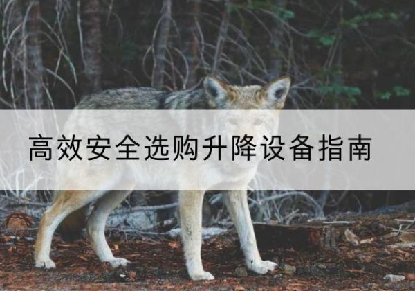 富川升降货梯厂家推荐-*安全选购升降设备指南