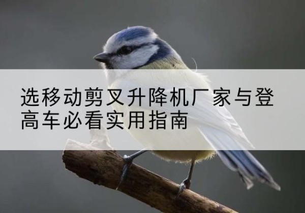 富川电动升降机厂家-选移动剪叉升降机厂家与登高车必看实用指南