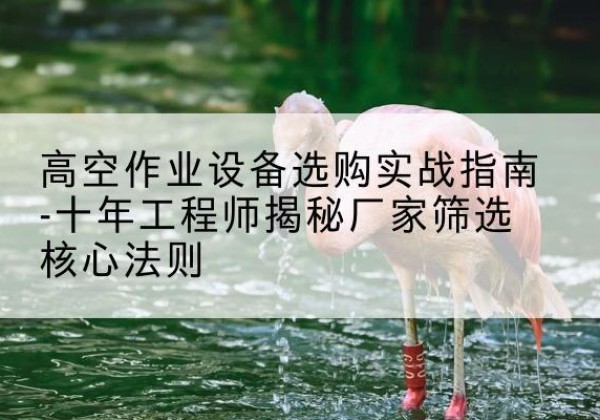 富川剪叉式升降机厂家-高空作业设备选购实战指南-十年工程师揭秘厂家筛选核心法则